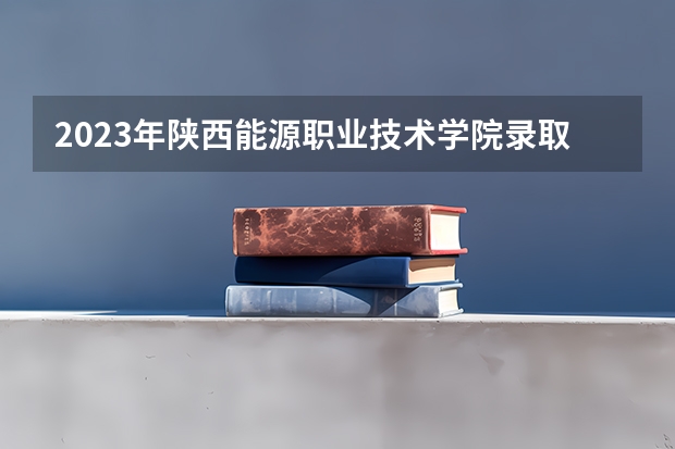 2023年陕西能源职业技术学院录取分数线是多少