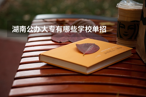 湖南公办大专有哪些学校单招