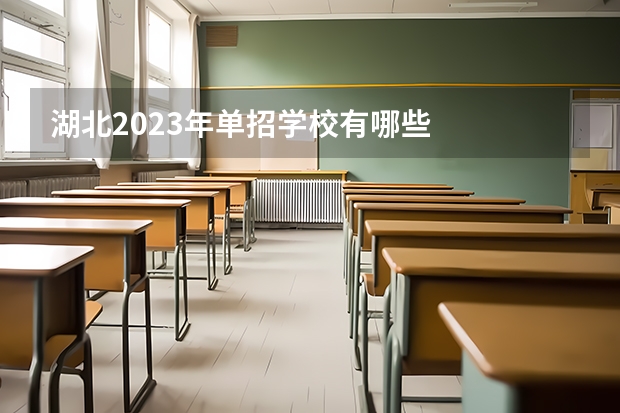 湖北2023年单招学校有哪些