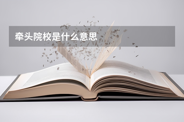 牵头院校是什么意思