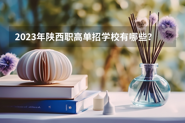 2023年陕西职高单招学校有哪些？