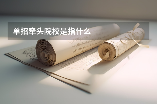 单招牵头院校是指什么