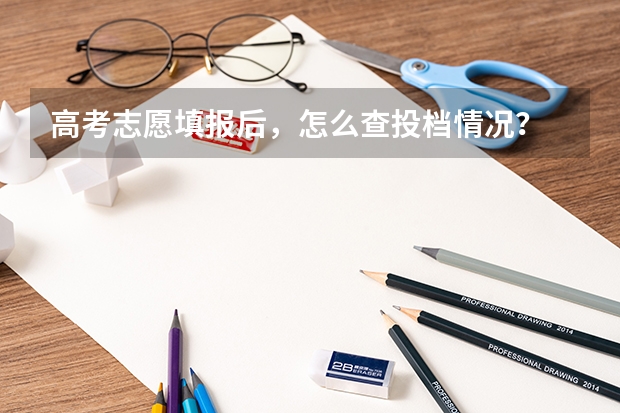 高考志愿填报后,怎么查投档情况?