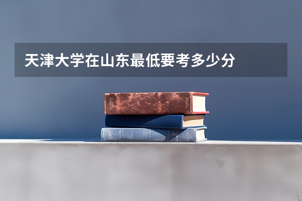 天津大学在山东最低要考多少分