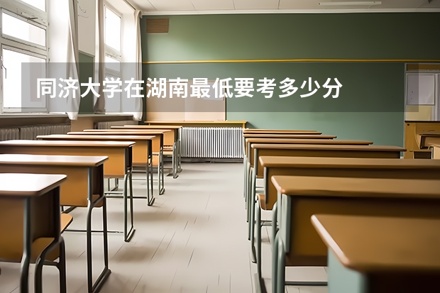 同济大学在湖南最低要考多少分