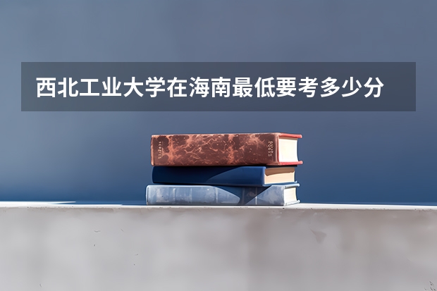 西北工业大学在海南最低要考多少分