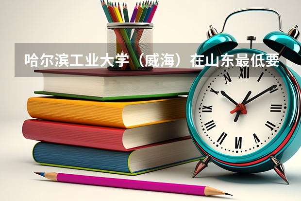 哈尔滨工业大学（威海）在山东最低要考多少分