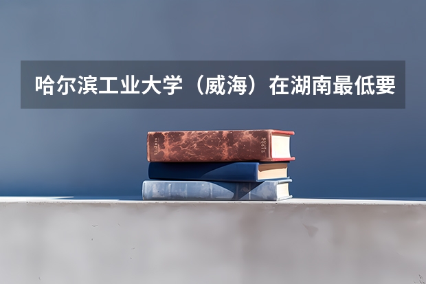 哈尔滨工业大学（威海）在湖南最低要考多少分