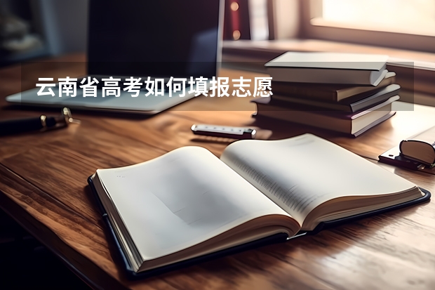 云南省高考如何填报志愿