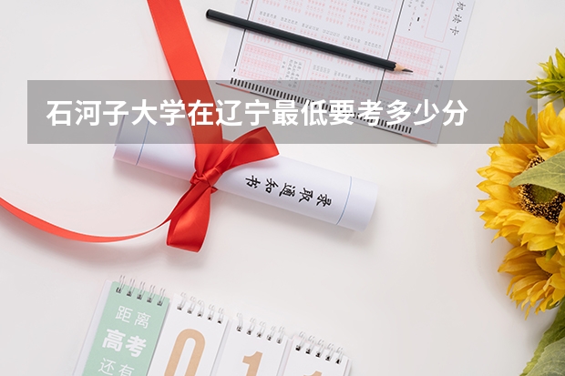 石河子大学在辽宁最低要考多少分