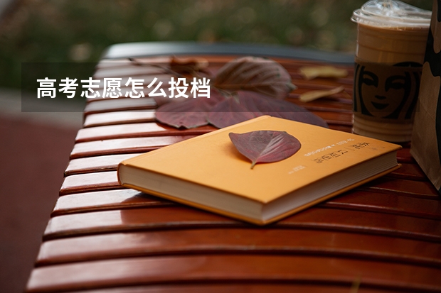 高考志愿怎么投档