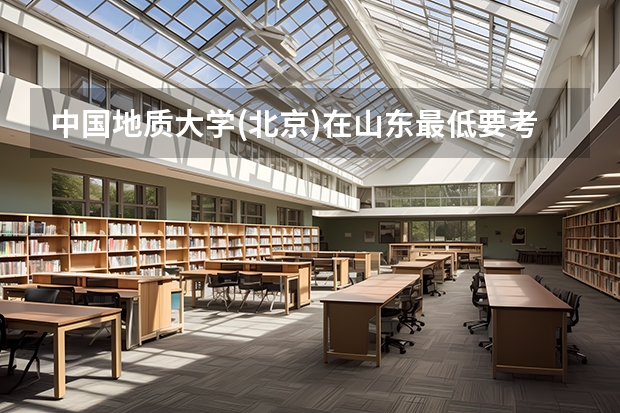 中国地质大学(北京)在山东最低要考多少分