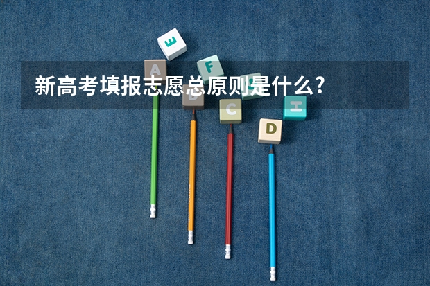 新高考填报志愿总原则是什么?