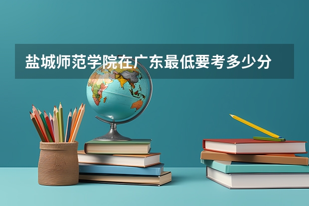 盐城师范学院在广东最低要考多少分