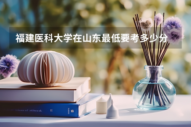 福建医科大学在山东最低要考多少分