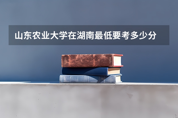 山东农业大学在湖南最低要考多少分