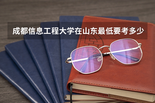 成都信息工程大学在山东最低要考多少分