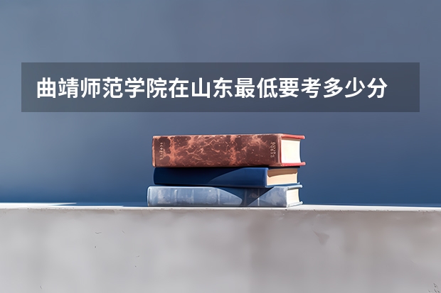 曲靖师范学院在山东最低要考多少分