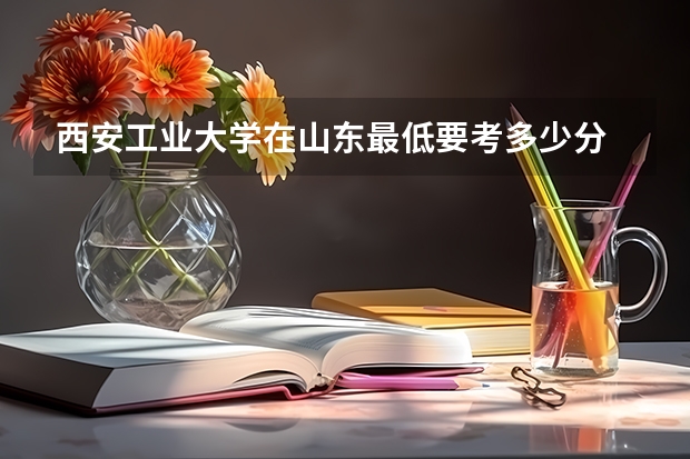 西安工业大学在山东最低要考多少分