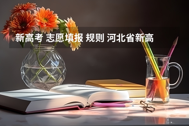 新高考 志愿填报 规则 河北省新高考志愿填报规则