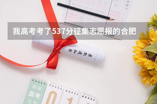 我高考考了537分征集志愿报的合肥师范学院，和阜阳师范学院，能录取吗？生源地是安徽的