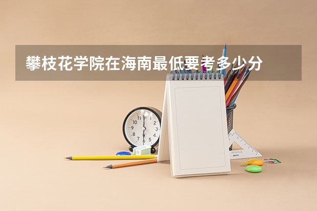 攀枝花学院在海南最低要考多少分