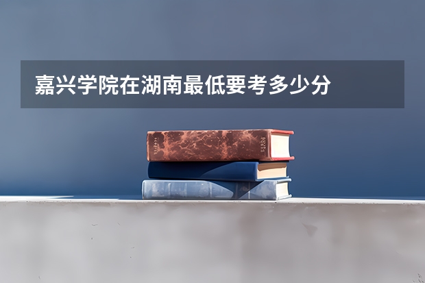 嘉兴学院在湖南最低要考多少分
