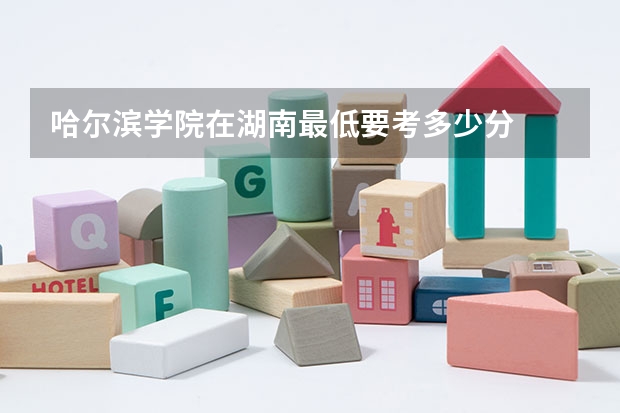 哈尔滨学院在湖南最低要考多少分