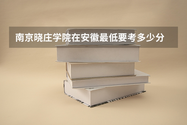 南京晓庄学院在安徽最低要考多少分