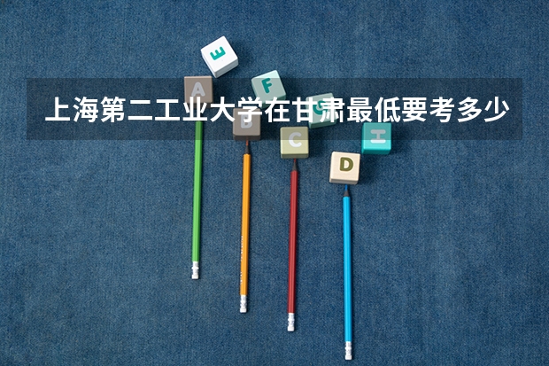 上海第二工业大学在甘肃最低要考多少分
