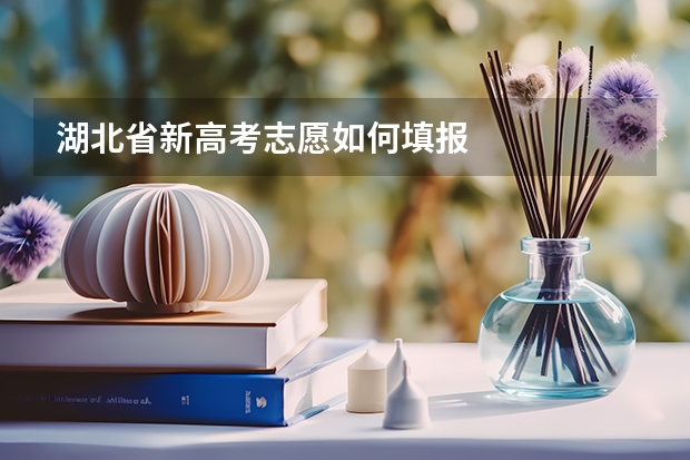 湖北省新高考志愿如何填报