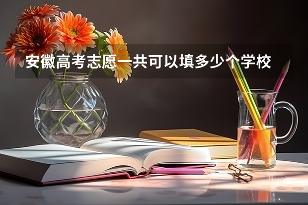 安徽高考志愿一共可以填多少个学校