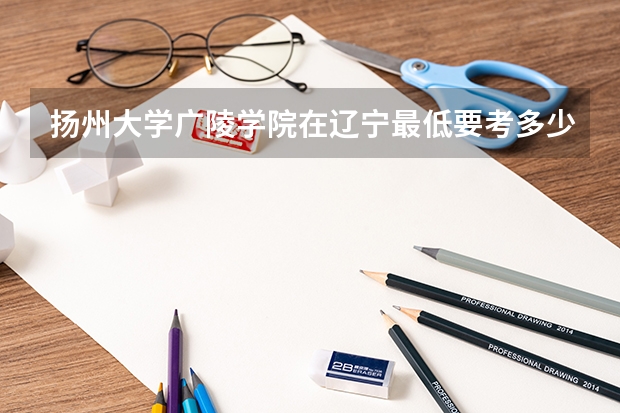 扬州大学广陵学院在辽宁最低要考多少分