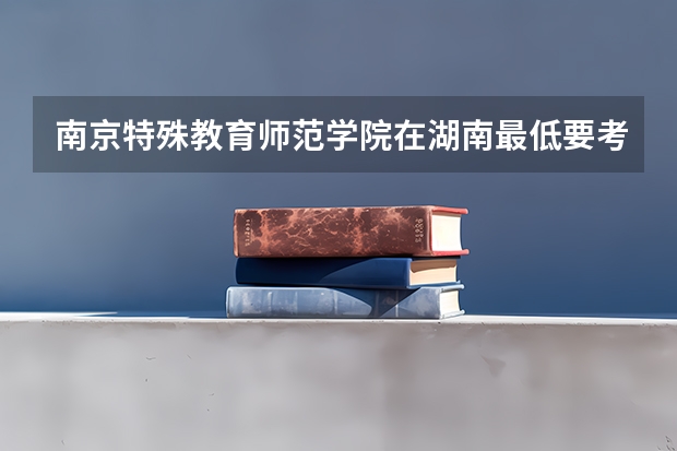 南京特殊教育师范学院在湖南最低要考多少分