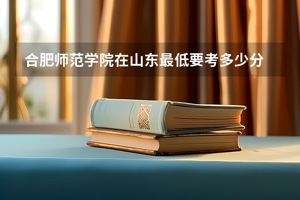 合肥师范学院在山东最低要考多少分