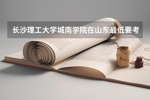 长沙理工大学城南学院在山东最低要考多少分