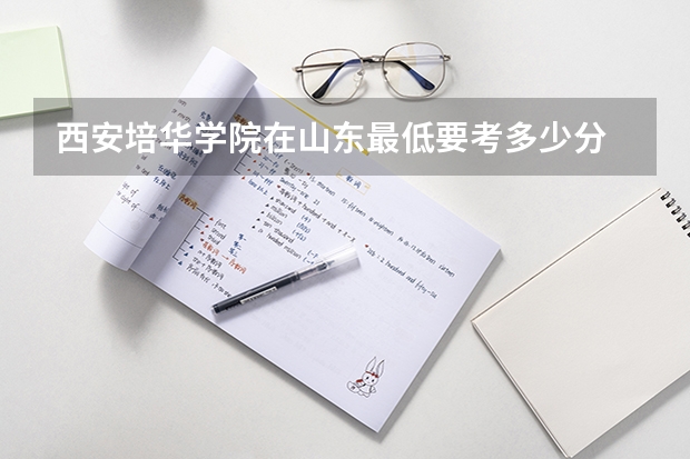 西安培华学院在山东最低要考多少分