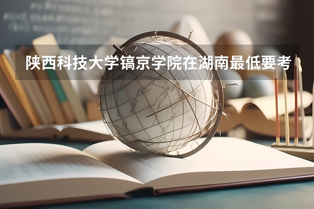 陕西科技大学镐京学院在湖南最低要考多少分
