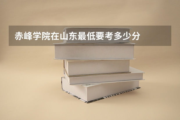 赤峰学院在山东最低要考多少分
