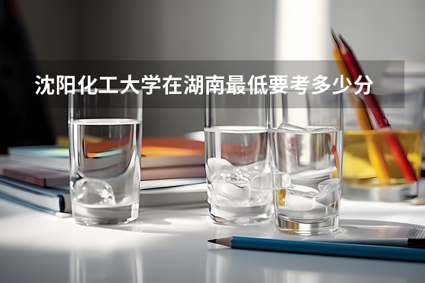 沈阳化工大学在湖南最低要考多少分