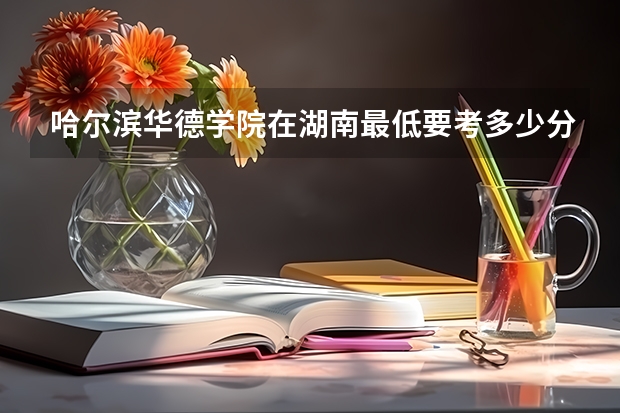 哈尔滨华德学院在湖南最低要考多少分