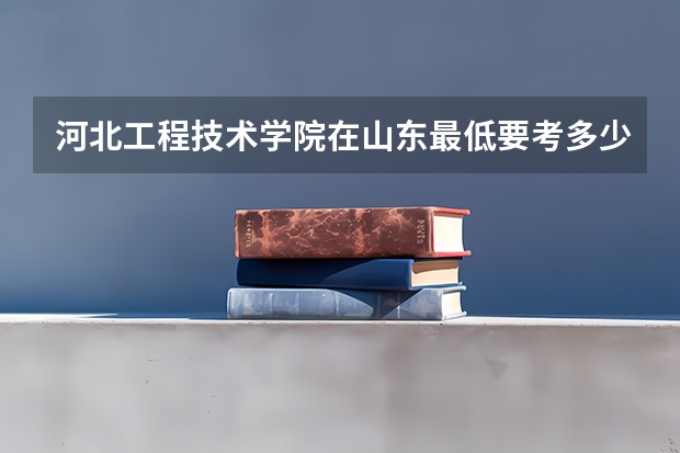 河北工程技术学院在山东最低要考多少分
