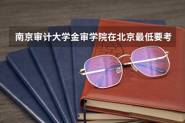 南京审计大学金审学院在北京最低要考多少分