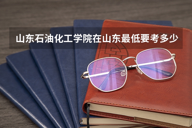 山东石油化工学院在山东最低要考多少分