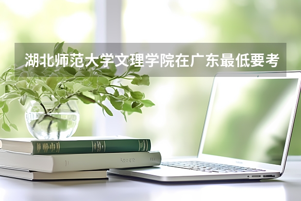 湖北师范大学文理学院在广东最低要考多少分