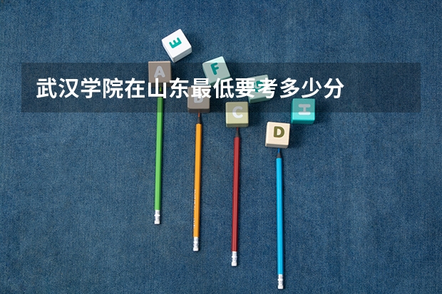 武汉学院在山东最低要考多少分