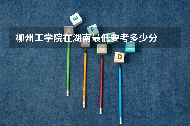 柳州工学院在湖南最低要考多少分