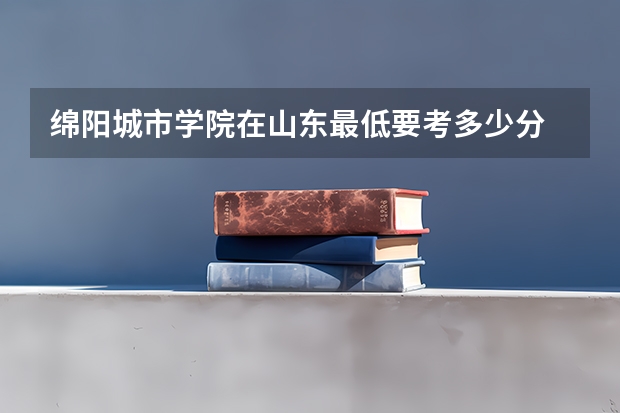 绵阳城市学院在山东最低要考多少分