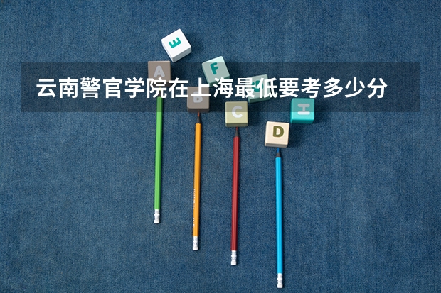 云南警官学院在上海最低要考多少分