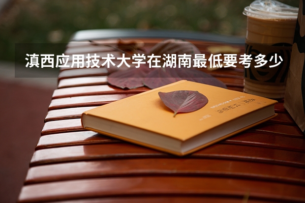 滇西应用技术大学在湖南最低要考多少分
